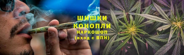 стаф Мегион
