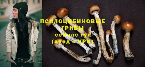 стаф Мегион
