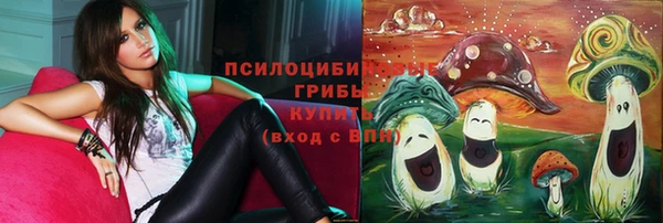 стаф Мегион